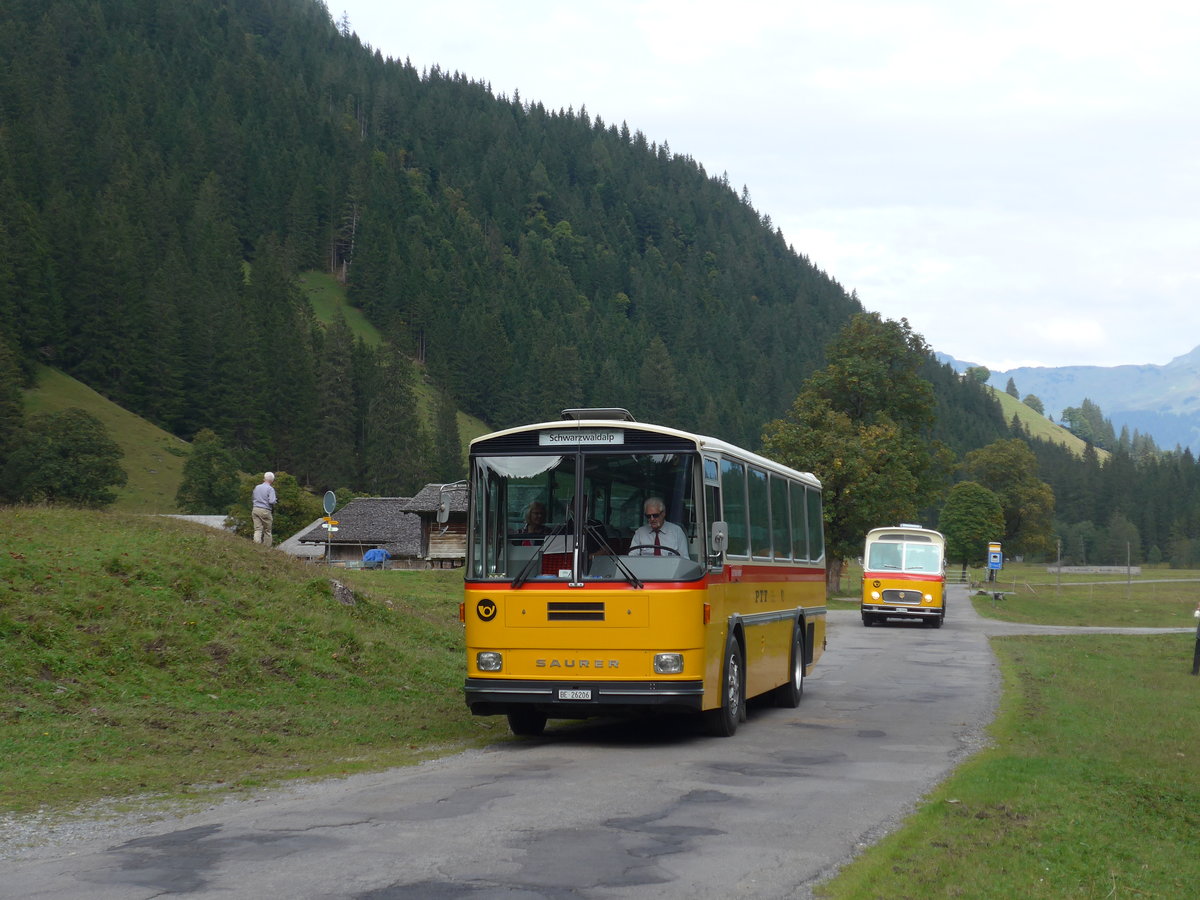 (197'785) - Schmid, Thrishaus - BE 26'206 - Saurer/Tscher (ex P 24'244) am 16. September 2018 in Gschwandtenmaad