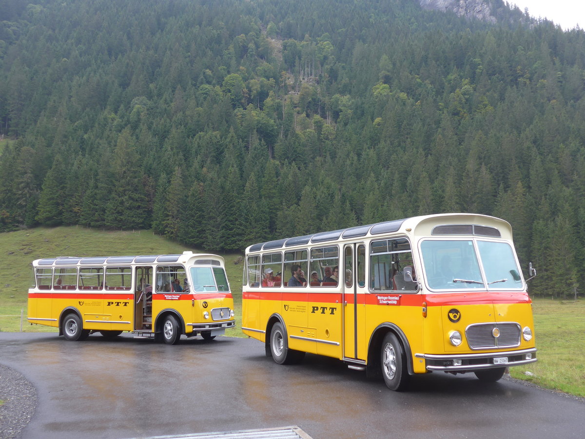 (197'838) - Frutig, Birmensdorf - ZH 560'883 - FBW/FHS (ex P 23'217) + Mller, Ennetmoos - NW 23'167 - FBW/Gangloff (ex Rentsch, Gunten; ex P 23'203; ex P 21'003) am 16. September 2018 in Gschwandtenmaad