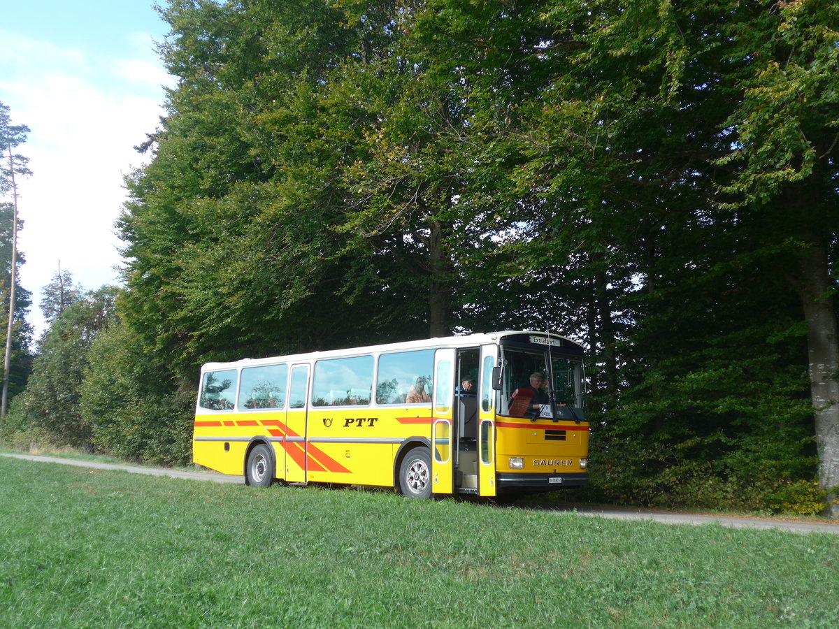 (198'006) - Thommen, Sutz - BE 288'066 - Saurer/Hess (ex P 24'202) am 30. September 2018 in Wasen, Huttwilstrasse