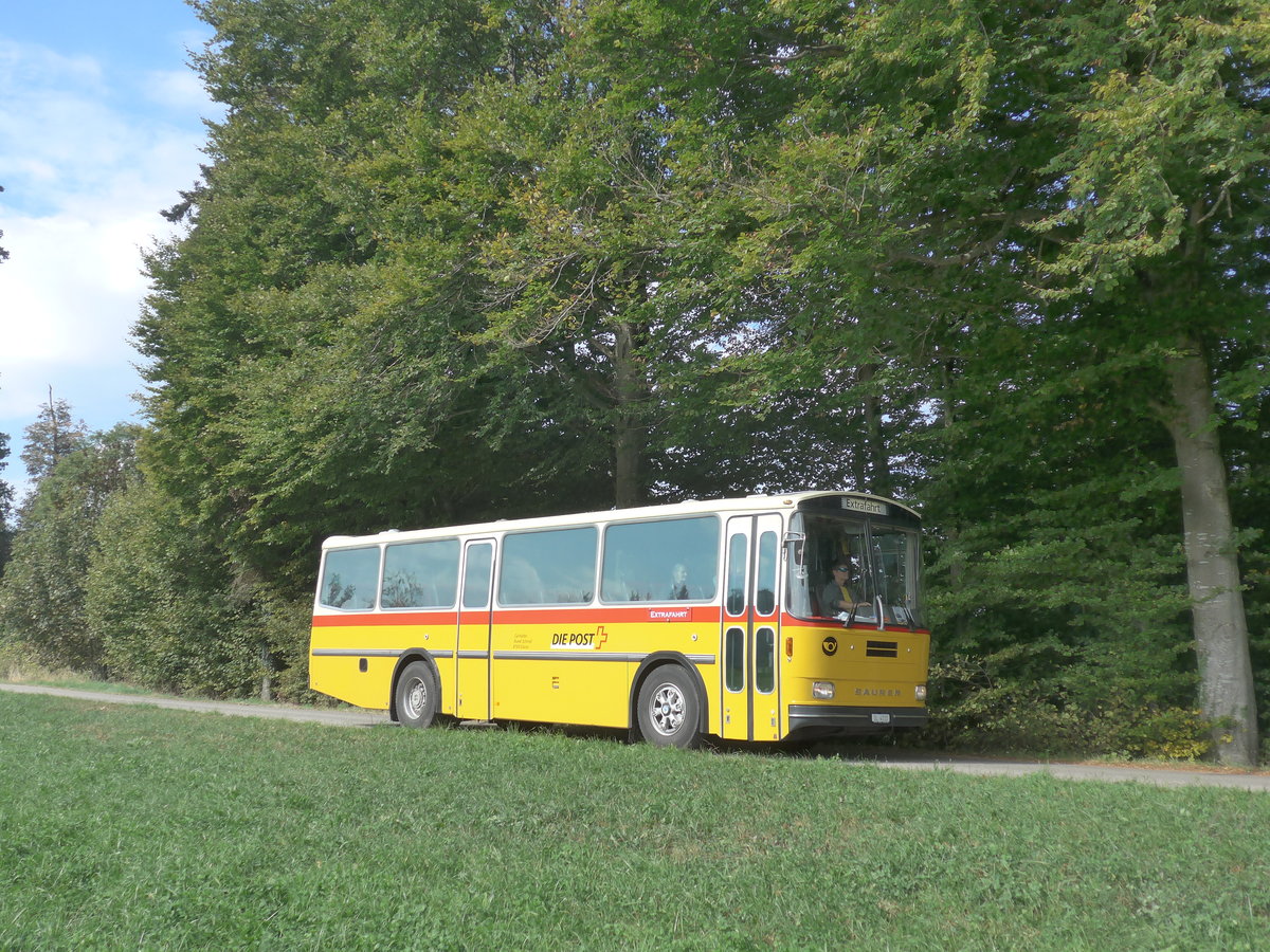 (198'008) - Schmid, Glarus - GL 4012 - Saurer/Tscher (ex Mosimann, Aesch; ex Erne, Full; ex P 24'257) am 30. September 2018 in Wasen, Huttwilstrasse