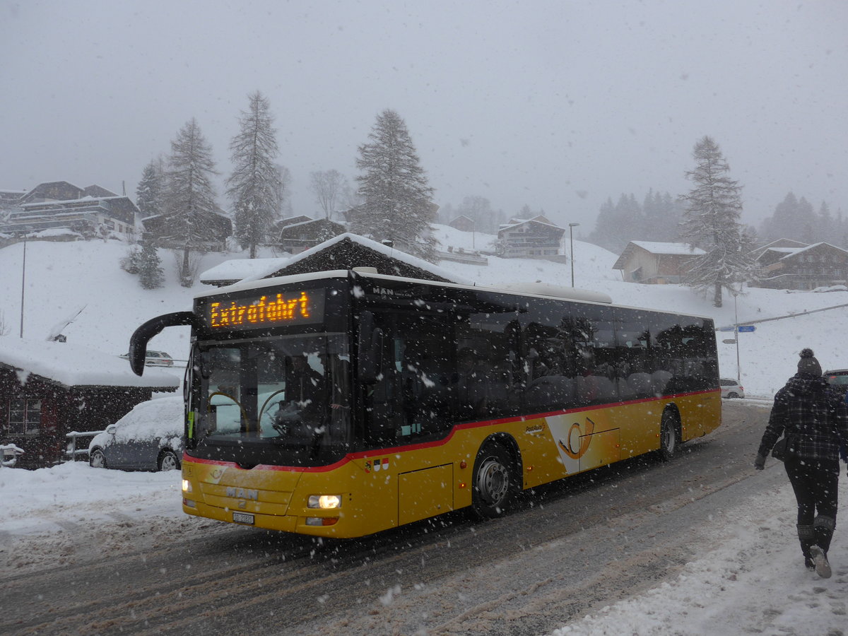 (201'091) - Steiner, Messen - SO 21'820 - MAN am 13. Januar 2019 in Adelboden, Oey