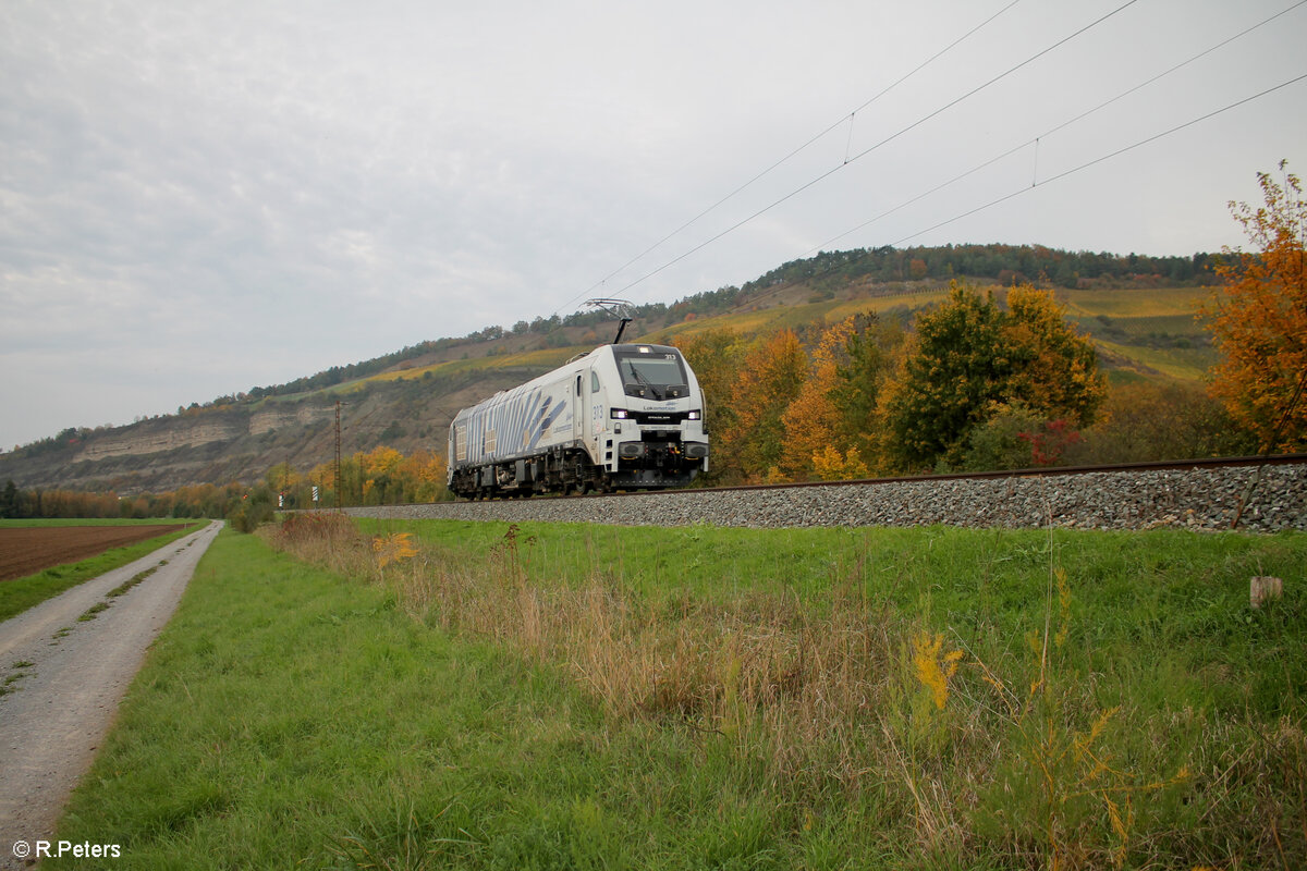 2019 313-6 rollt lz bei Thüngersheim in Richtung Süden. 20.10.24