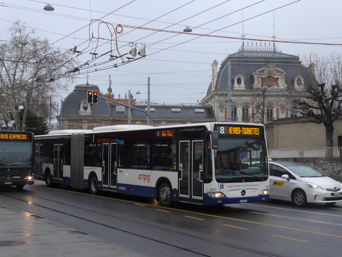 (202'210) - TPG Genve - Nr. 1177/GE 960'927 - Mercedes am 11. Mrz 2019 in Genve, Place des Vingt-Deux-Cantons