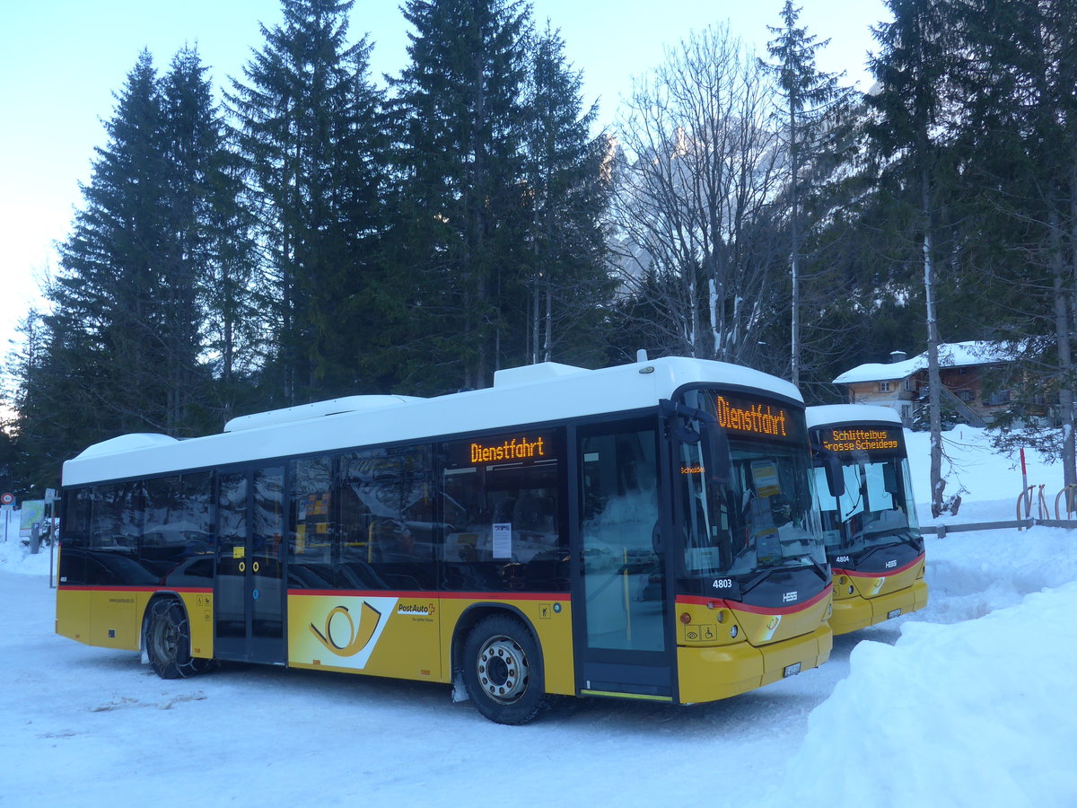 (213'415) - PostAuto Bern - BE 403'166 - Scania/Hess (ex AVG Meiringen Nr. 66; ex Steiner, Messen) am 5. Januar 2020 auf der Schwarzwaldalp