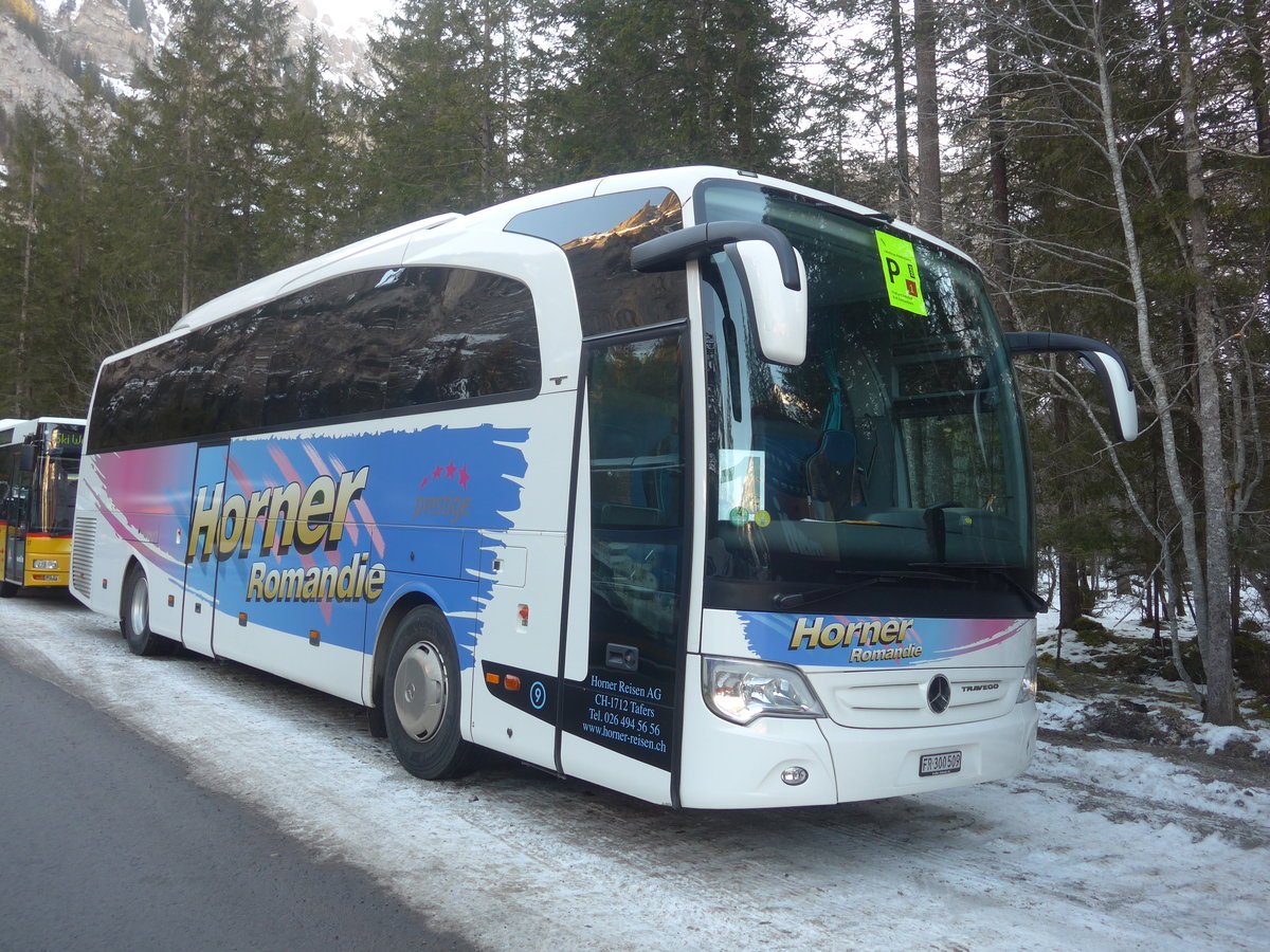 (213'635) - Horner, Tafers - Nr. 9/FR 300'509 - Mercedes am 11. Januar 2020 in Adelboden, Unter dem Birg