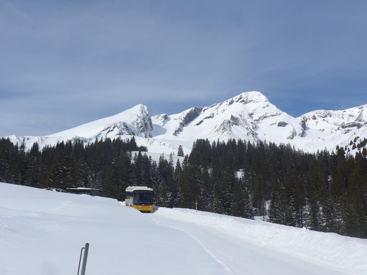 (215'075) - PostAuto Bern - BE 403'166 - Scania/Hess (ex AVG Meiringen Nr. 66; ex Steiner, Messen) am 8. Mrz 2020 in Grindelwald, Alpiglen