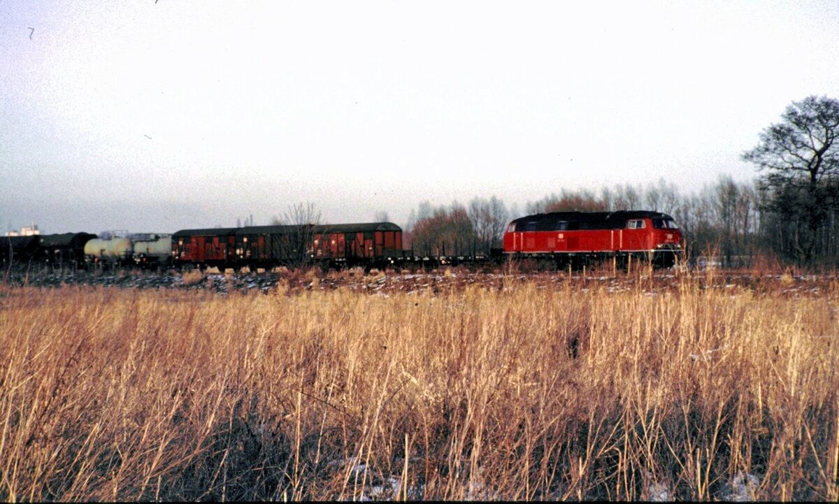216 mit Gterzug in Braunschweig Richtung Wolfenbttel bzw. Harz am 24.02.1983.