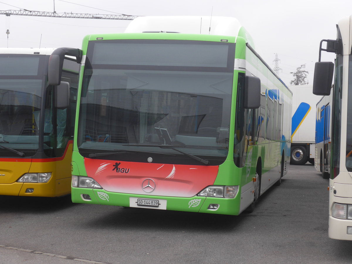 (222'896) - BGU Grenchen - Nr. 25/SO 144'839 - Mercedes am 29. November 2020 in Kerzers, Interbus