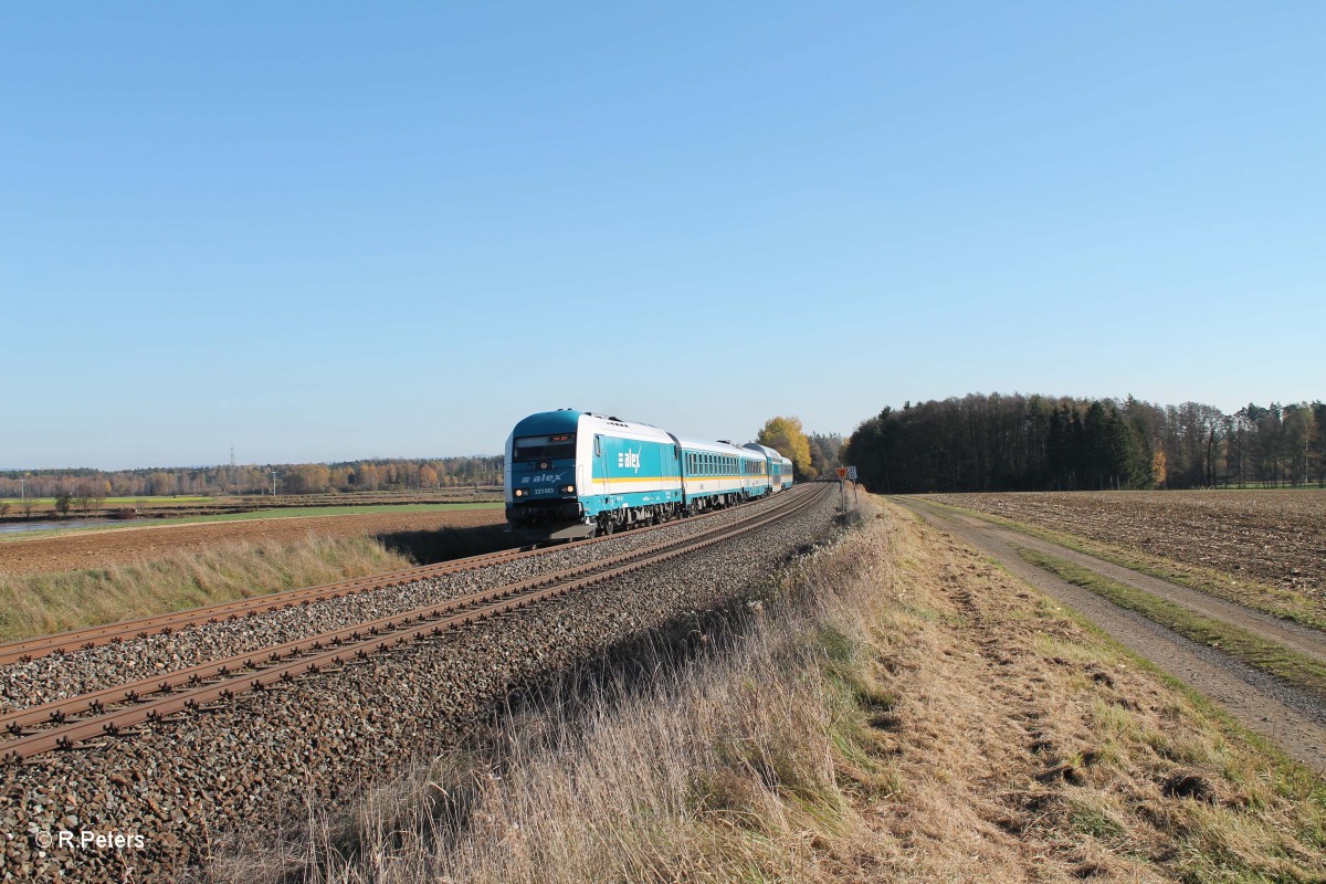 223 063 mit ALX84106 M�nchen nach Hof bei Oberteich. 31.10.13
