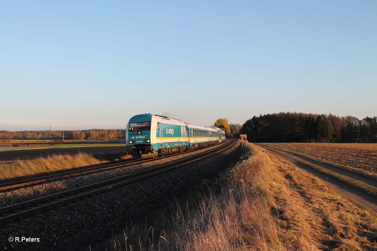 223 065 ALX84110 M�nchen - Hof bei Oberteich. 31.10.13