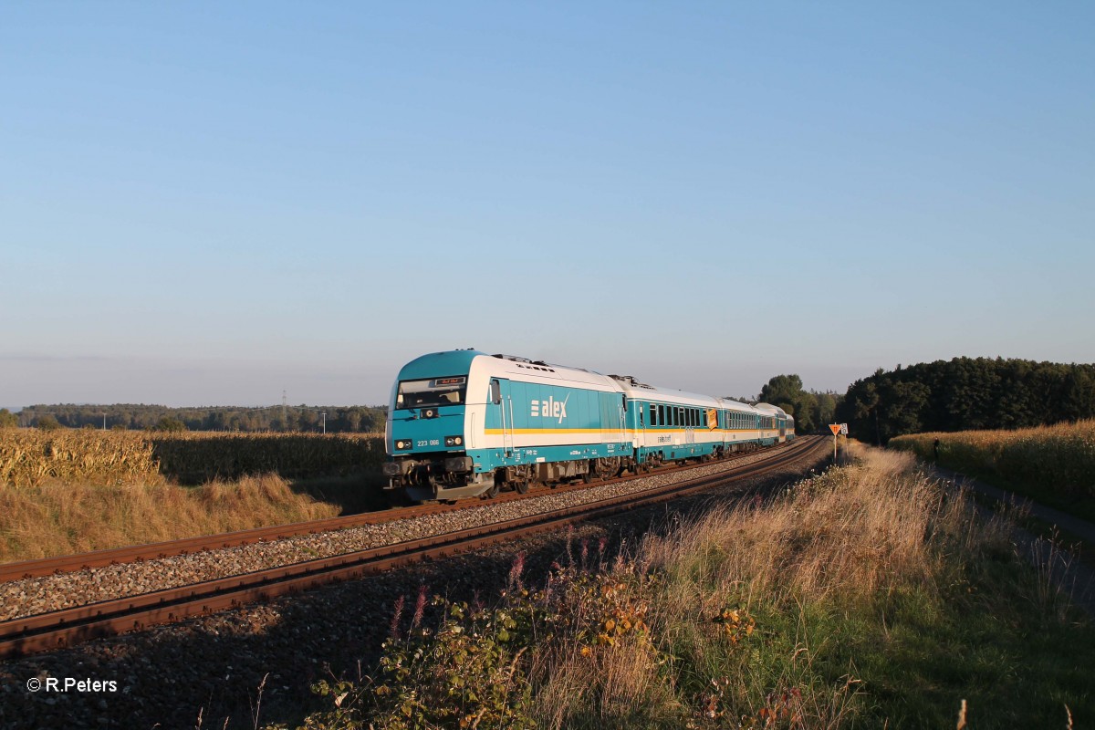 223 066 mit dem ALX84110 M�nchen - Hof bei Oberteich. 01.10.13