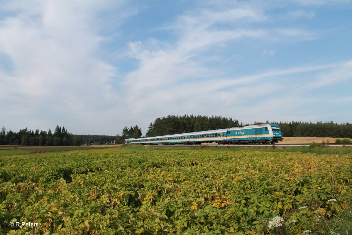 223 068 zieht kurz hinter Marktleuthen den ALX84121 Hof - München. 15.08.16