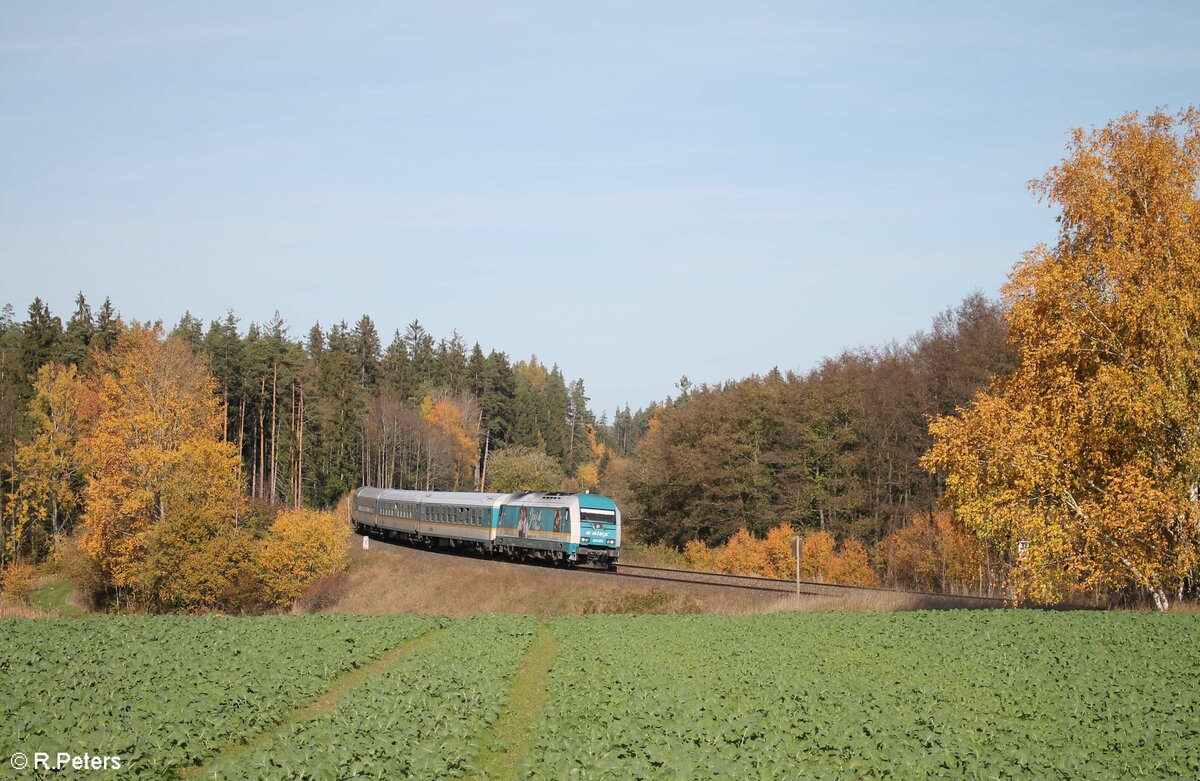 223 072 Gria� di Allg�u mit dem ALX 798....Hof - M�nchen bei Oberteich. 31.10.22