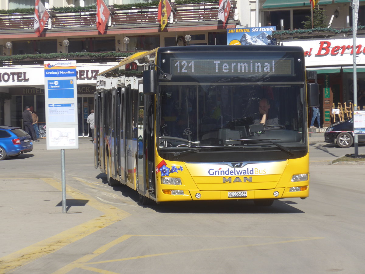 (223'852) - Grindelwaldbus, Grindelwald - Nr. 12/BE 356'085 - MAN am 28. Februar 2021 beim Bahnhof Grindelwald