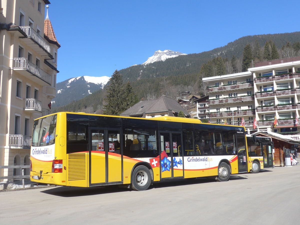 (223'854) - Grindelwaldbus, Grindelwald - Nr. 24/BE 364'408 - MAN/Gppel am 28. Februar 2021 beim Bahnhof Grindelwald