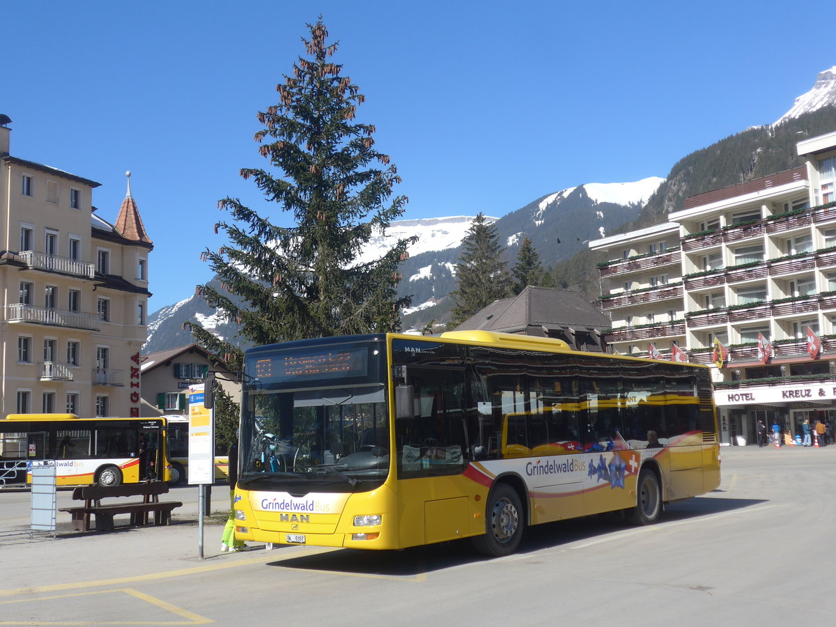 (223'860) - Grindelwaldbus, Grindelwald - Nr. 23/BE 70'397 - MAN am 28. Februar 2021 beim Bahnhof Grindelwald