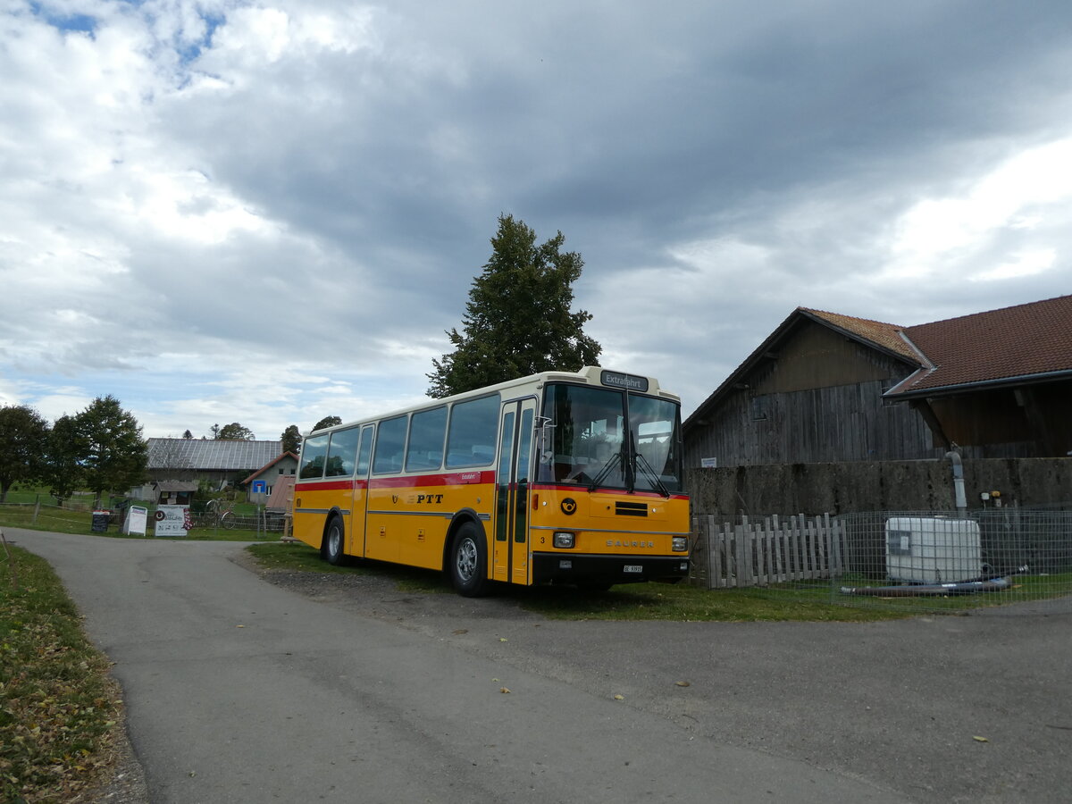 (228'676) - Kolb, Grasswil - Nr. 3/BE 93'915 - Saurer/R/J (ex Schmocker, Stechelberg Nr. 3; ex Schmocker, Stechelberg Nr. 1; ex Gertsch, Stechelberg Nr. 1) am 3. Oktober 2021 in Tramelan, Scheidegger-Ranch