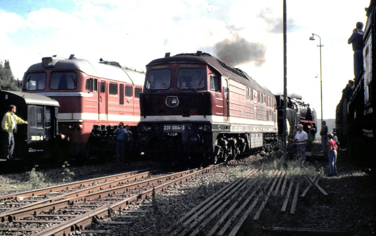 231 004-3 in Hermeskeil im September 1992.