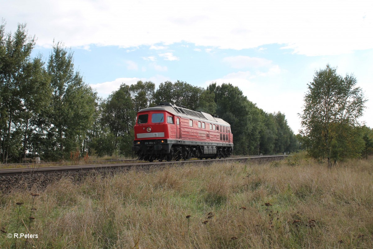 232 654-4 als Lz nach Marktredwitz bei Sch�nfeld. 30.09.13