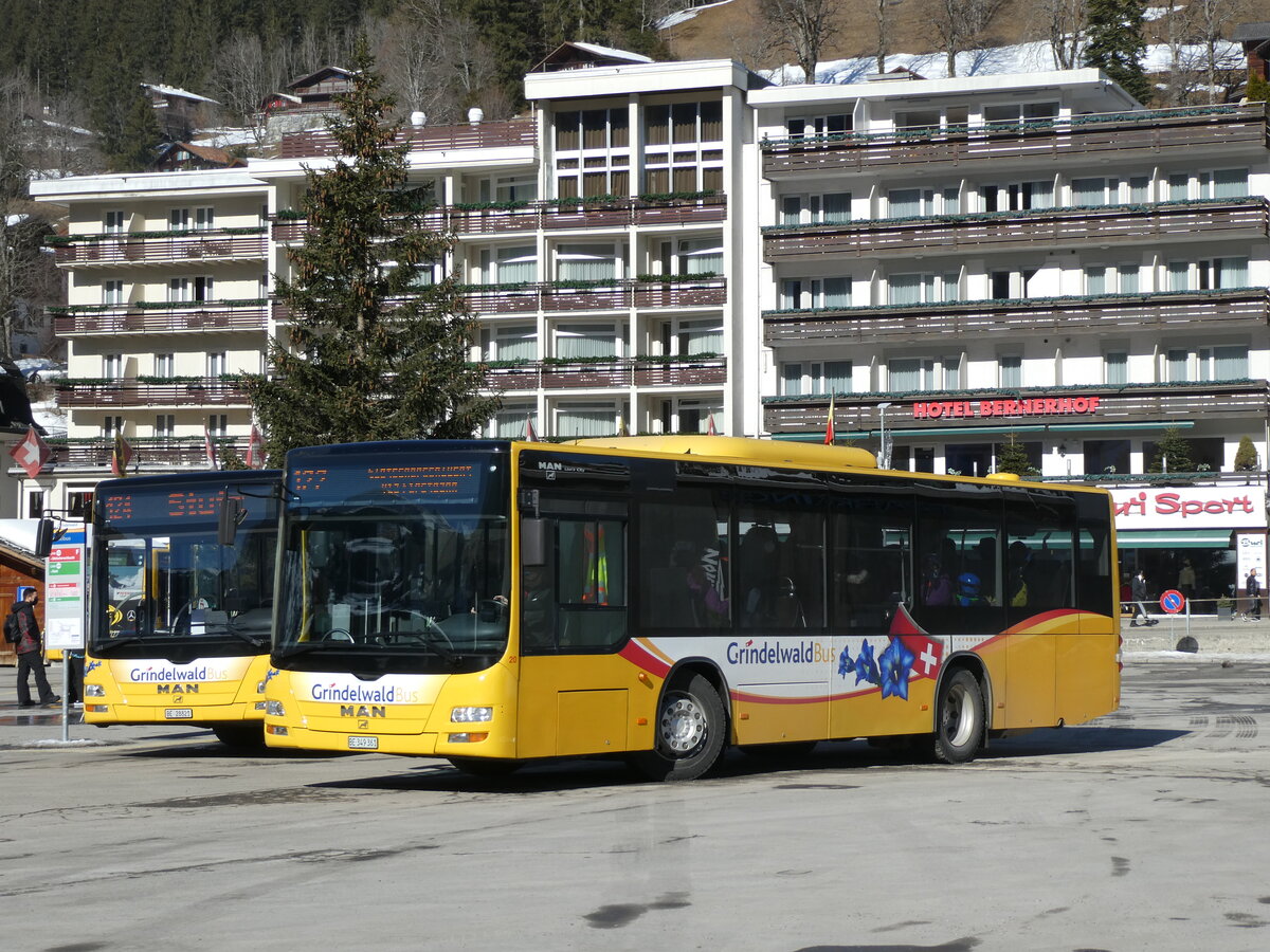 (232'835) - Grindelwaldbus, Grindelwald - Nr. 20/BE 349'361 - MAN/Gppel am 13. Februar 2022 beim Bahnhof Grindelwald