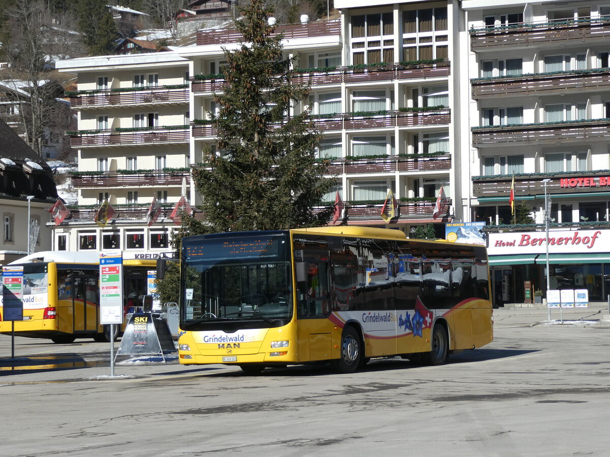 (232'839) - Grindelwaldbus, Grindelwald - Nr. 20/BE 349'361 - MAN/Gppel am 13. Februar 2022 beim Bahnhof Grindelwald