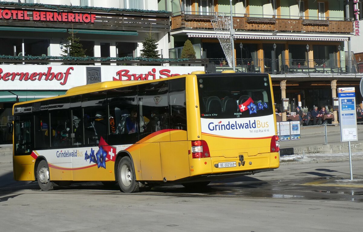 (232'892) - Grindelwaldbus, Grindelwald - Nr. 14/BE 202'568 - MAN/Gppel am 13. Februar 2022 beim Bahnhof Grindelwald