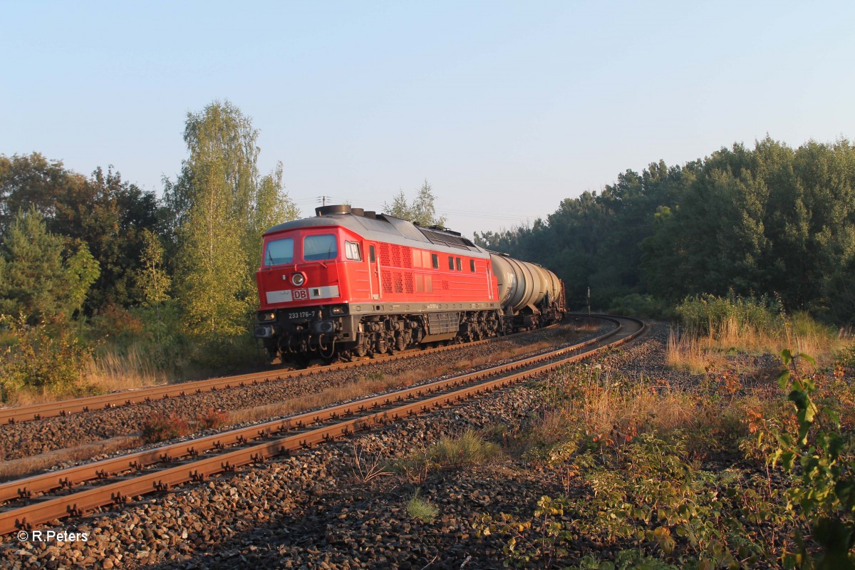 233 173-7 mit dm 45360 Cheb - N�rnberg in Reuth bei Erbendorf. 30.08.13