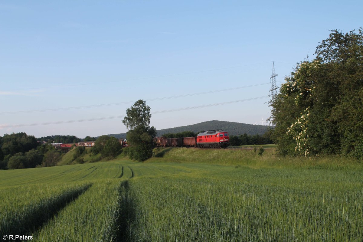 233 176 mit dem EZ 45366 XTCH - NNR bei Seu�en Viadukt. 18.06.19