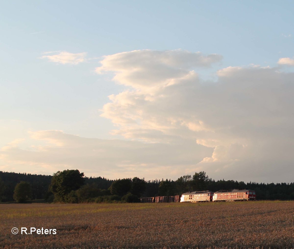233 306 + 233 322 ziehen mit dem 45366 XTCH - NNR bei Oberteich vorbei. 29.06.17
