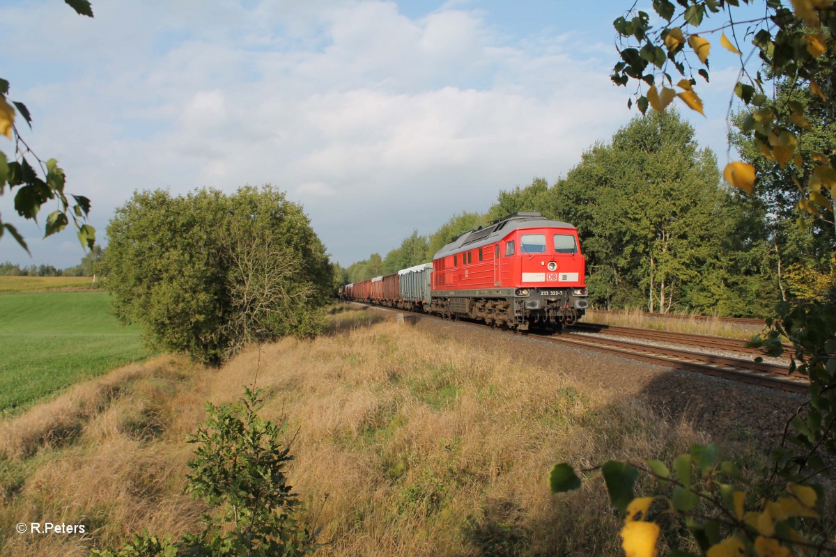 233 322-7 mit Schrottzug 49350 nach N�rnberg bei Sch�nfeld. 26.09.13