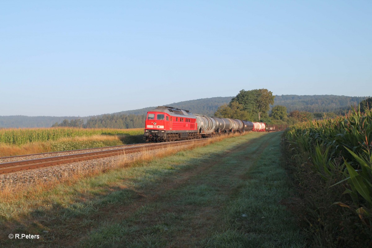 233 478-7 mit dem 45360 Cheb - N�rnberg bei Oberteich. 05.09.13