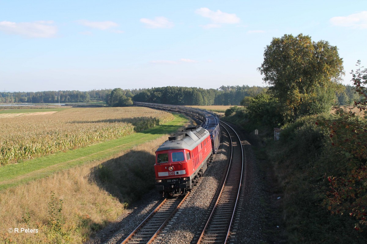 233 487 mit dem 49997 N�rnberg - Cheb leer Autozug bei Oberteich. 01.10.13