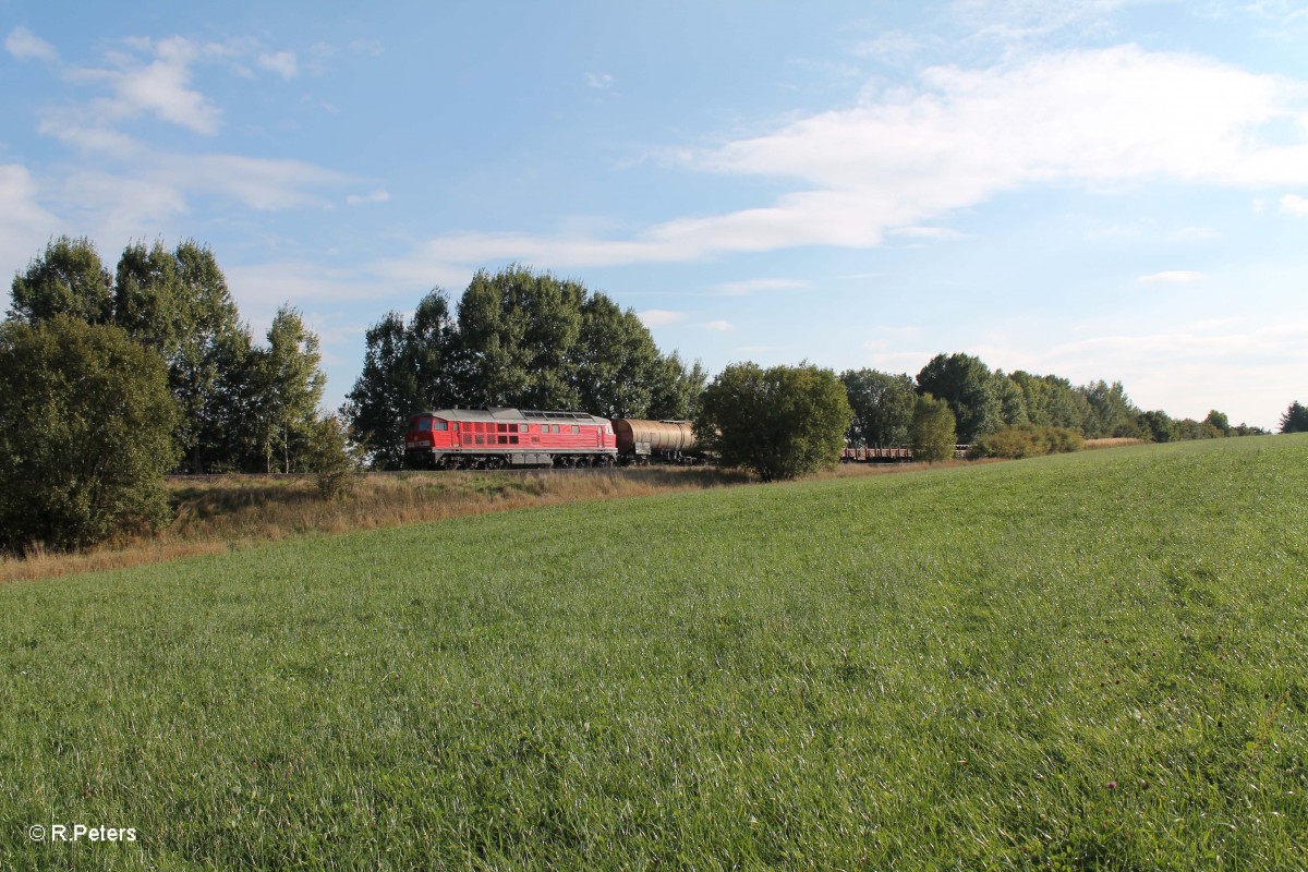 233 521-4 mit dem 45369 N�rnberg - Cheb bei Sch�nfeld. 30.09.13