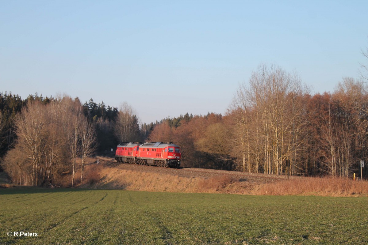 233 636 + 233 112 Lz bei Oberteich gen S�den. 17.03.16