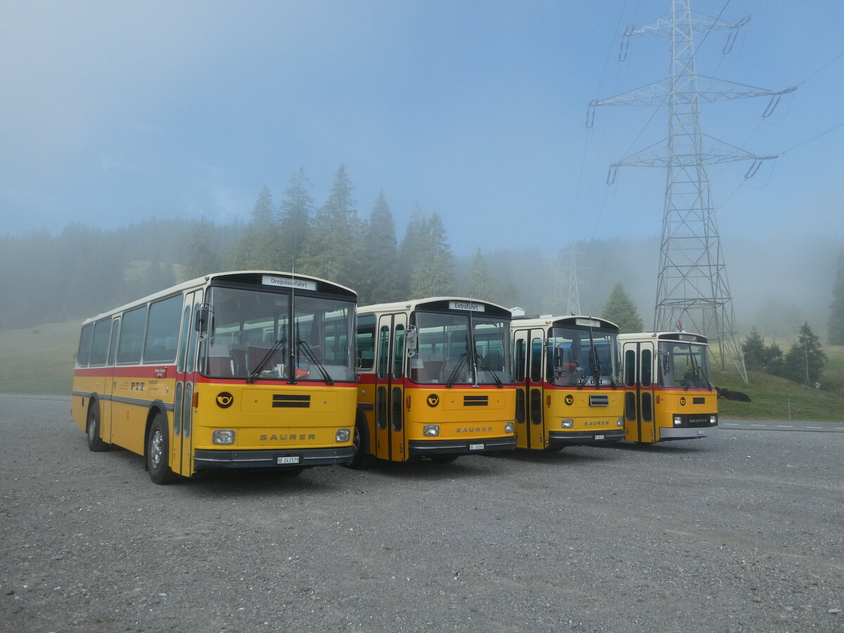 (239'770) - Krummenacher, Zillis - Nr. 74/BE 243'579 - Saurer/R&J (ex AVG Meiringen Nr. 74; ex PostAuto Berner Oberland; ex P 24'357) am 28. August 2022 in Stalden, Langis