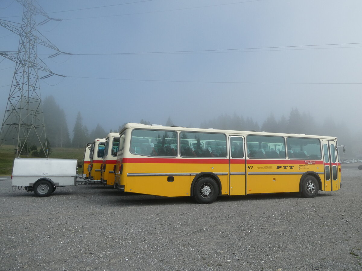 (239'786) - Krummenacher, Zillis - Nr. 74/BE 243'579 - Saurer/R&J (ex AVG Meiringen Nr. 74; ex PostAuto Berner Oberland; ex P 24'357) am 28. August 2022 in Stalden, Langis