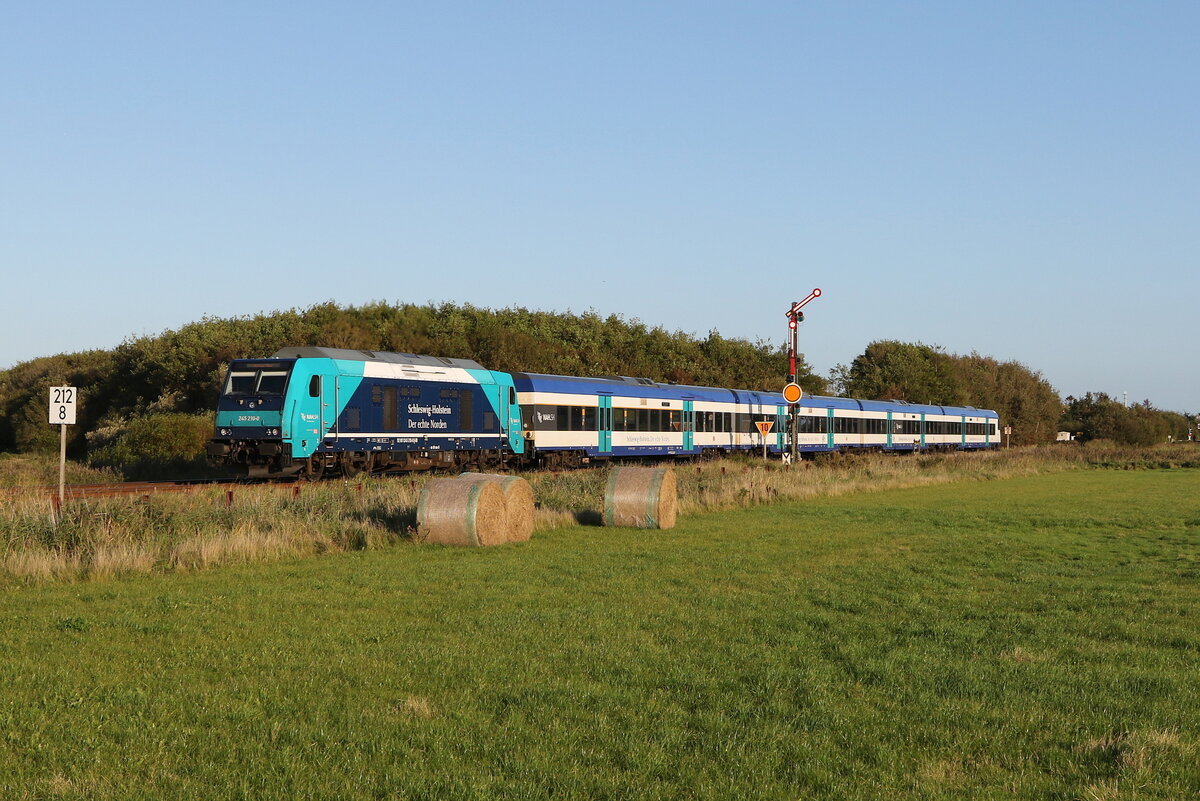 245 210 fuhr am 13. September 2023 bei Klanxbll in Richtung Westerland.
