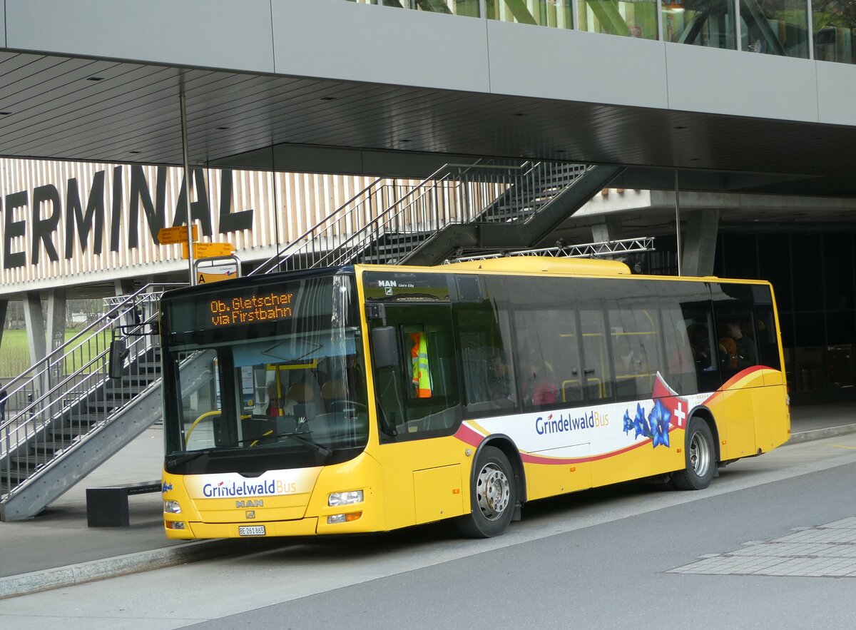 (248'890) - Grindelwaldbus, Grindelwald - Nr. 11/BE 261'865 - MAN/Gppel am 19. April 2023 in Grindelwald, Terminal