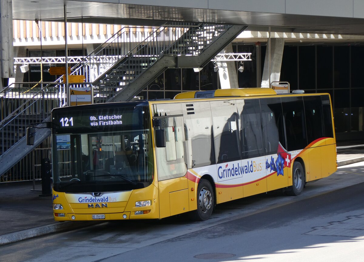 (260'500) - GrindelwaldBus, Grindelwald - Nr. 12/BE 356'085 - MAN am 19. Mrz 2024 in Grindelwald, Terminal