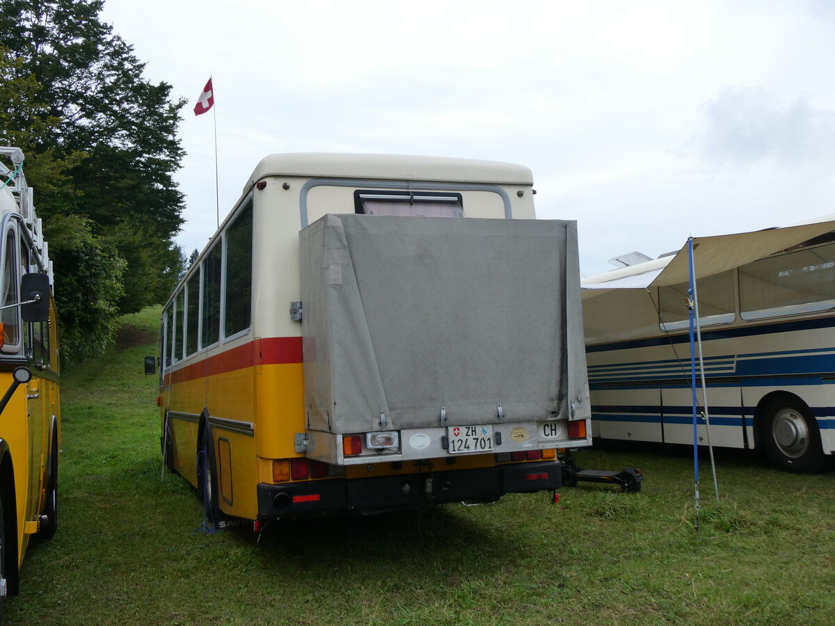 (265'858) - Toldo, Zrich - ZH 124'701 - Saurer/R&J (ex Peter, Pfaffnau) am 17. August 2024 in Neuhausen, Langriet