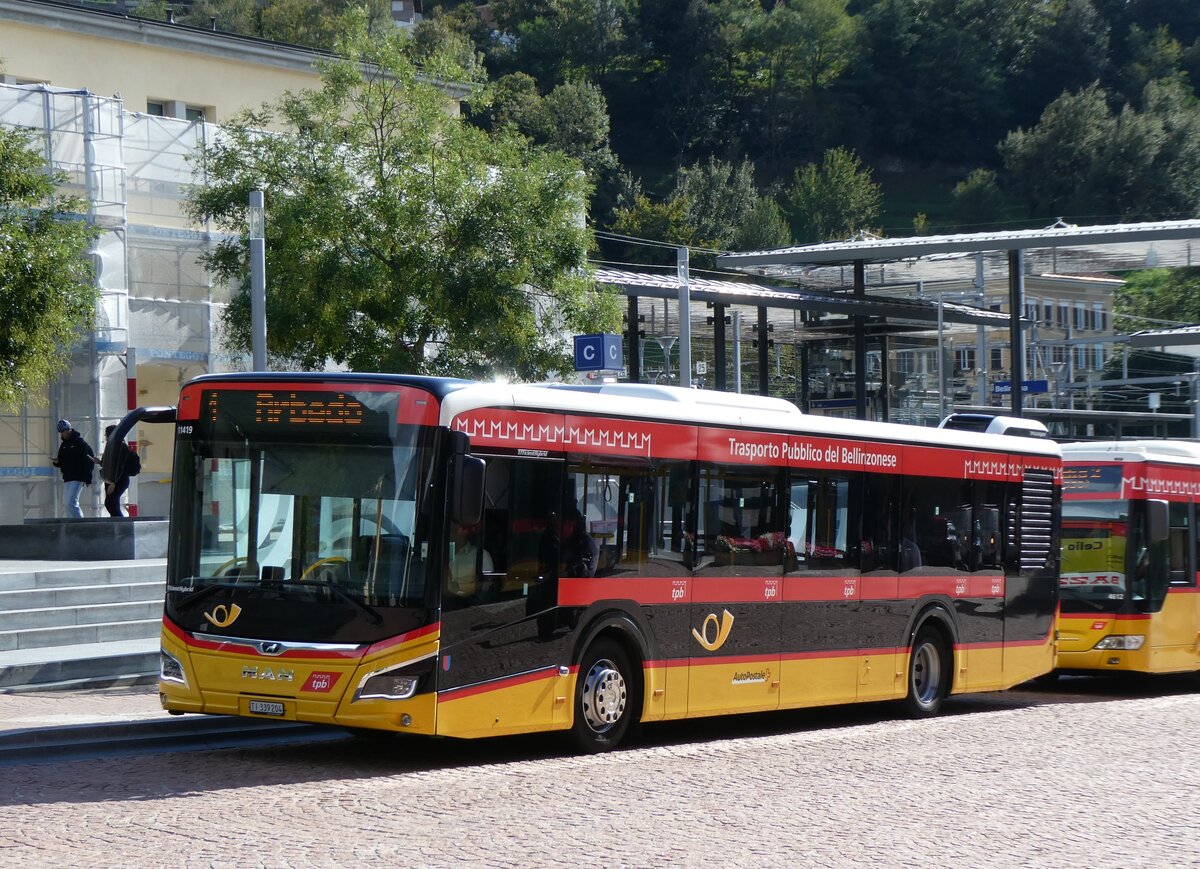 (267'537) - AutoPostale Ticino - TI 339'204/PID 11'419 - MAN am 24. September 2024 beim Bahnhof Bellinzona