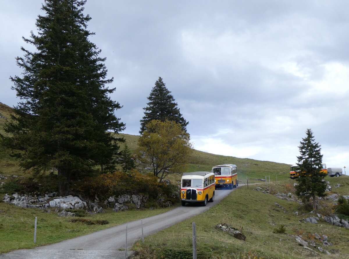 (268'119) - Schmid, Thrishaus - Nr. 3/BE 26'760 - Saurer/Gangloff (ex Geiger, Adelboden Nr. 3) am 12. Oktober 2024 bei der Bundalp