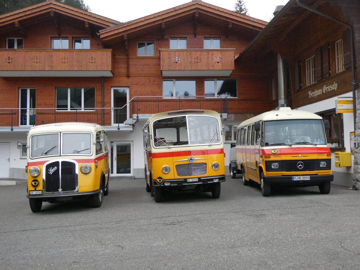 (268'149) - Schmid, Thrishaus - Nr. 3/BE 26'760 - Saurer/Gangloff (ex Geiger, Adelboden Nr. 3) + Nr. 9/BE 26'105 - Saurer/R&J (ex Geiger, Adelboden Nr. 9) + aus Deutschland: Hanh, Mnchen - Nr. 6/M-MB 309H - Mercedes (ex Mller, CH-Ennetmoos Nr. 6; ex Portenier, CH-Adelboden Nr. 6/PID 492; ex Geiger, CH-Adelboden Nr. 6) am 12. Oktober 2024 auf der Griesalp
