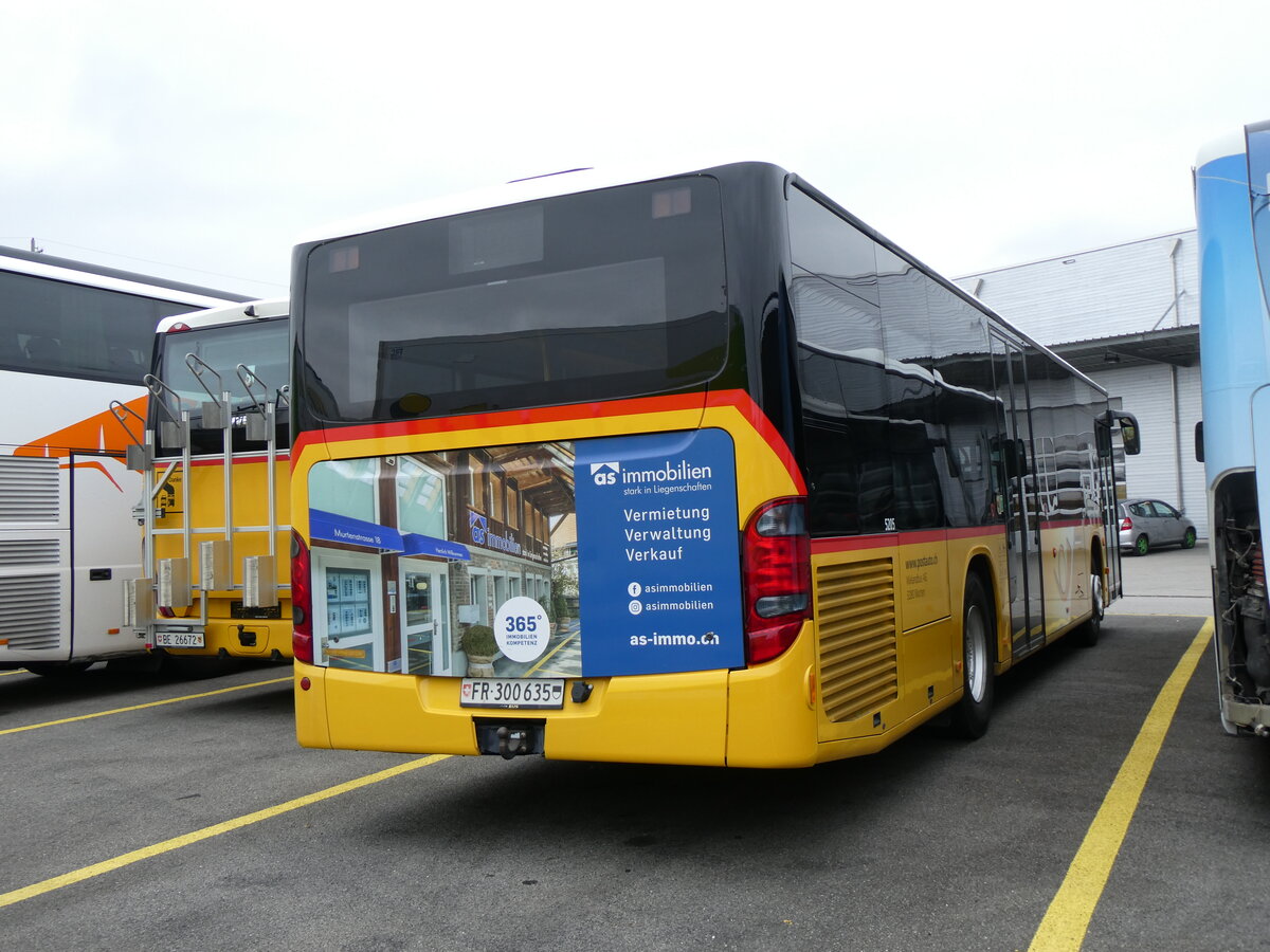 (268'285) - Wieland, Murten - Nr. 52/FR 300'635/PID 5205 - Setra am 19. Oktober 2024 in Kerzers, Interbus