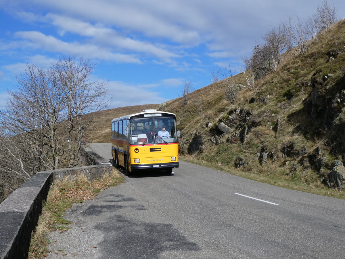 (268'763) - Aus der Schweiz: Schmid, Th�rishaus - BE 26'206 - Saurer/T�scher (ex P 24'244) am 27. Oktober 2024 bei Rothenbach