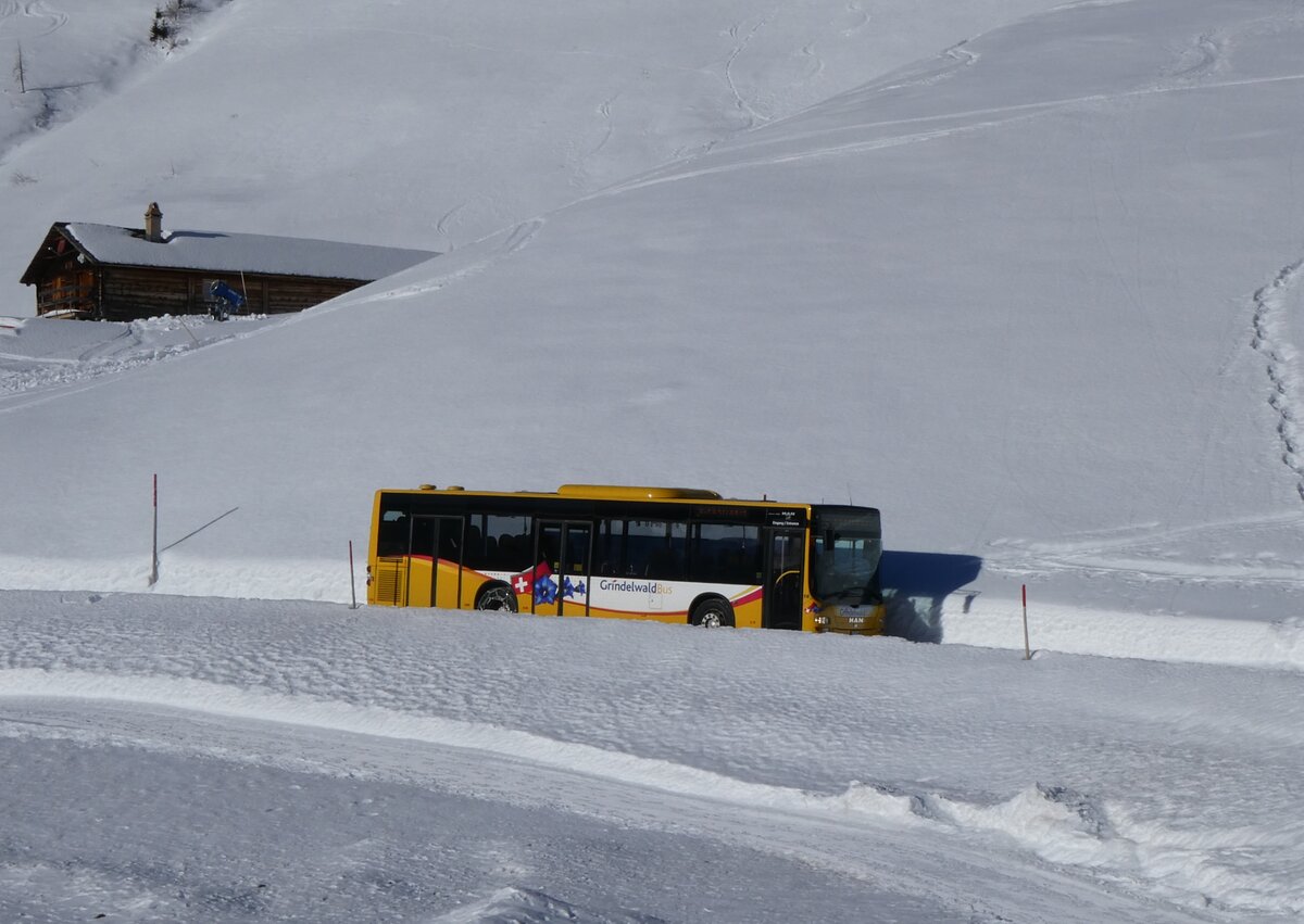 (270'363) - GrindelwaldBus, Grindelwald - Nr. 14/BE 202'568 - MAN/G�ppel am 29. Dezember 2024 auf der Bussalp
