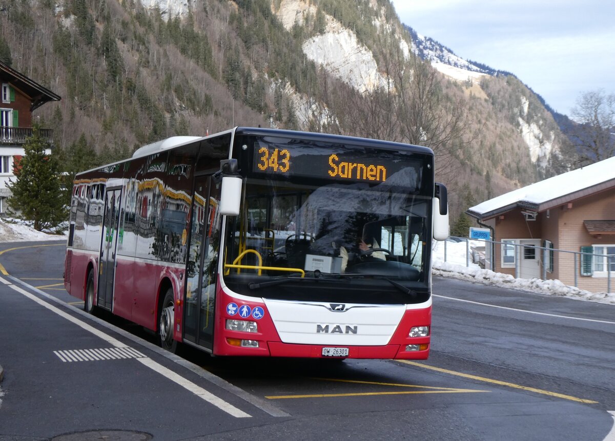 (271'412) - PostAuto Zentralschweiz - Nr. 530/OW 26'301/PID 12'338 - MAN (ex Dr. Richard, A-Wien Nr. 1418) am 24. Januar 2025 auf der St�ckalp