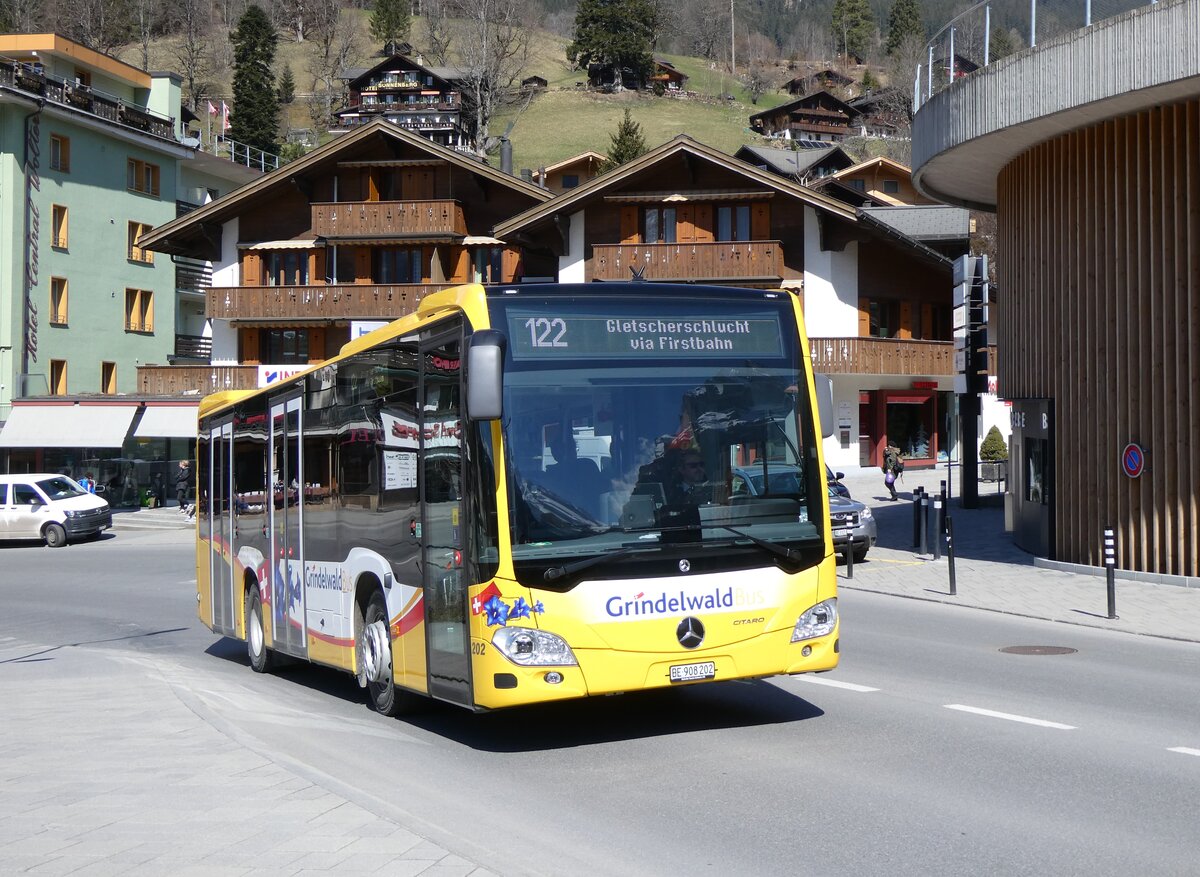 (273'279)  GrindelwaldBus, Grindelwald - Nr. 202/BE 908'202 - Mercedes am 28. M�rz 2025 in Grindelwald, Sportzentrum