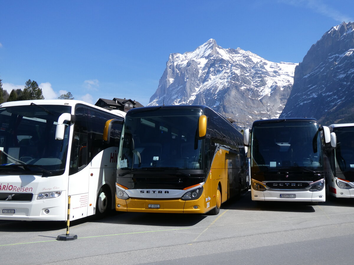 (273'292) - Mili Reisen, Erstfeld - UR 9331 - Setra am 28. Mrz 2025 in Grindelwald Grund