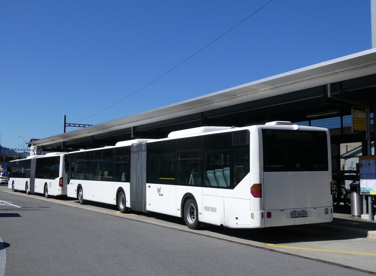 (273'832) - Wieland, Murten - Nr. 123/FR 300'604 - Mercedes (ex Knecht, Windisch Nr. 215; ex Interbus, Yverdon Nr. 215; ex BVB Basel Nr. 794; ex ASN Stadel Nr. 199/PID 4125) am 11. April 2025 beim Bahnhof Sch�pfheim